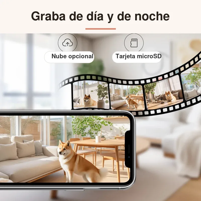 Grabación de día y de noche en microSD o en la nube