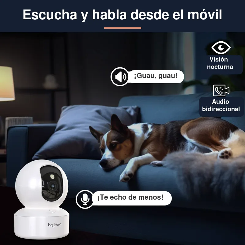 Hablar y escuchar a tu mascota desde la app de la cámara, también de noche